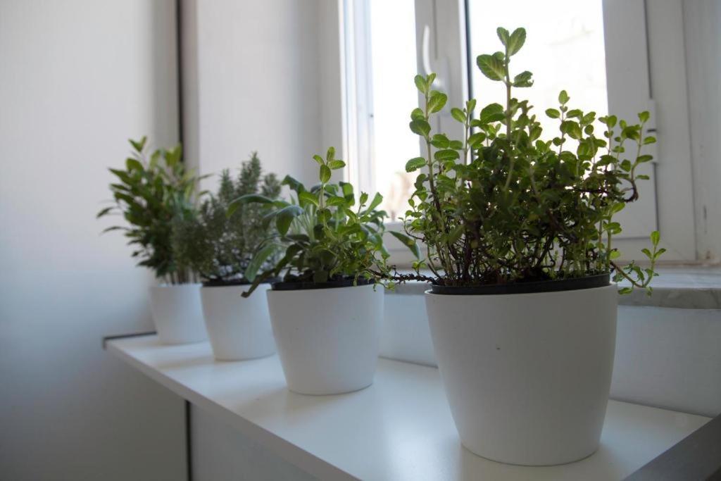 Lejlighed Navona Design Casa E Per Vacanze Rom